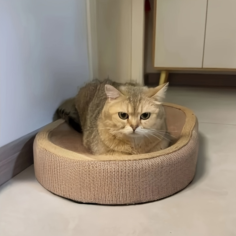 Planche à Gratter Durable pour Chat avec Bac à Litière Intégré - Jouet de Soin des Griffes Adapté aux Quatre Saisons, Idéal pour le Sport et la Détente - Cadeau Parfait Pour les Chats