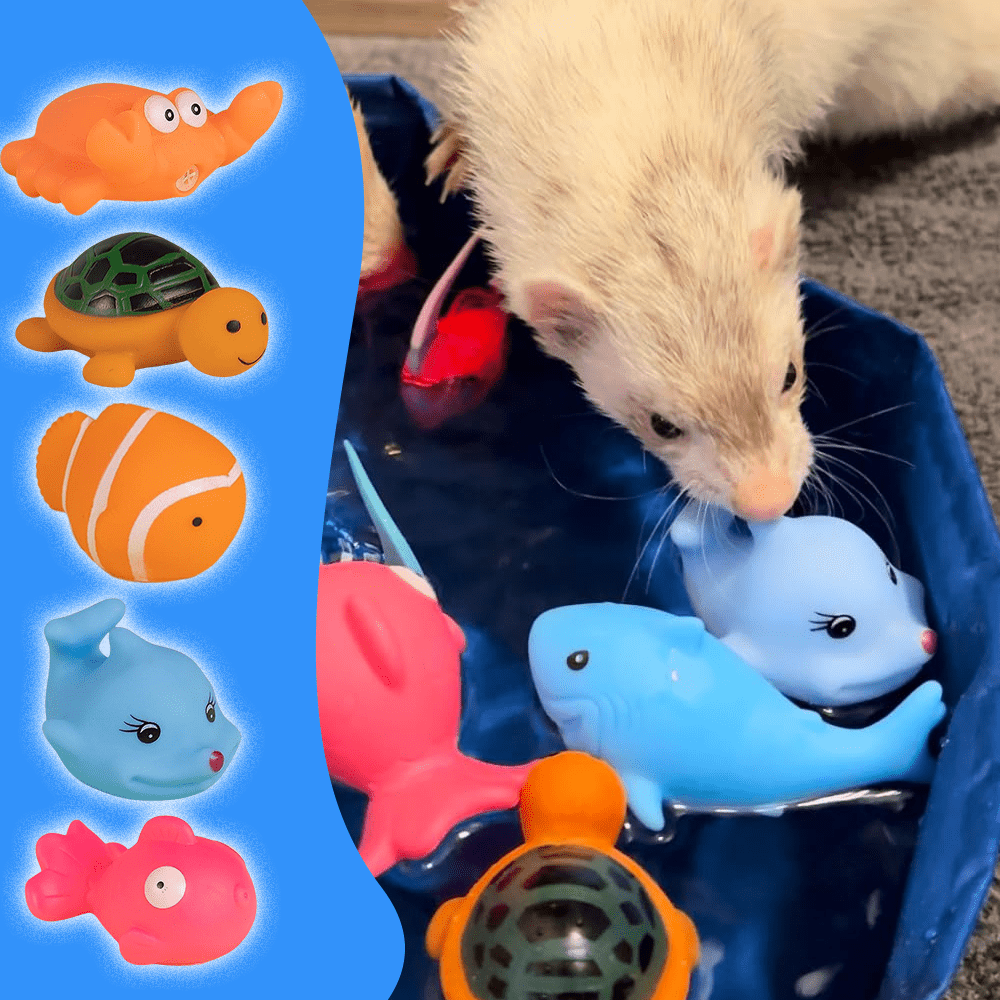 

1 Set Cat Water Toy - Cat Pool With Interactive Fish Toys, Cat Toys For Indoor Bored Cats Interactive Cat Toys For Indoor Cats, Blue