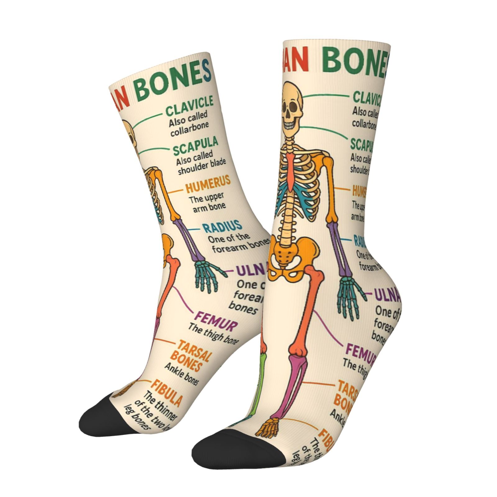 TEMU A Pair Of Unisex Outdoor Socks Featuring A Skeletal Science Print, Mid-calf Length, Suitable For Outdoor Sports Enthusiasts, Comfortable And