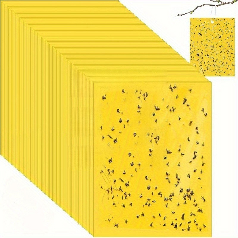 15cm x 10cm yellow double sided sticky insect trap suitable for areas such as kitchens plants and trees