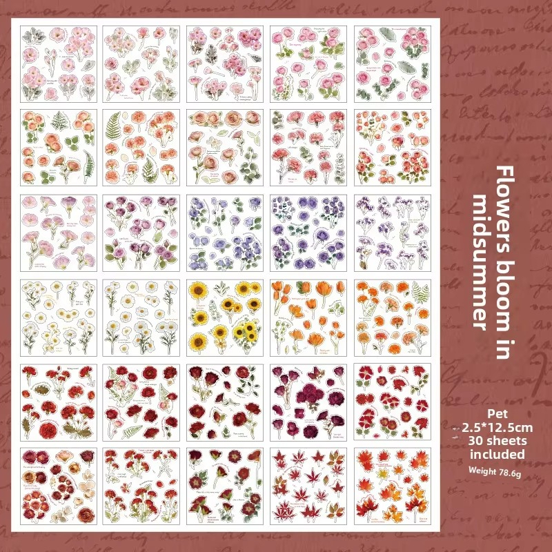 TEMU Libro de pegatinas de flores preservadas de 30 hojas/paquete para coleccionistas románticos, tarjetas de collage DIY y marcapáginas vintage de