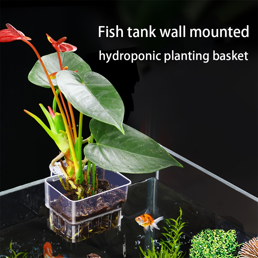 Wall-mounted Fish Tank Hydroponic Planting Basket, Clear Plastic Hanging Aquarium Plant Holder, Aquatic Decor Accessory For Greenery And Fish Tank Aesthetic
