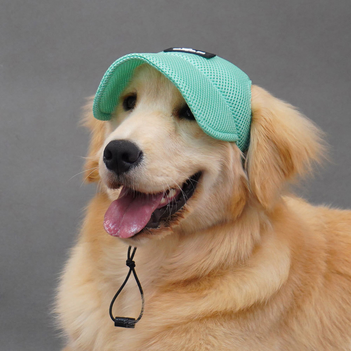 Cooling Hat Dog Sun Hats Chill Seeker Cooling Dog Sun Hat Canada Pooch