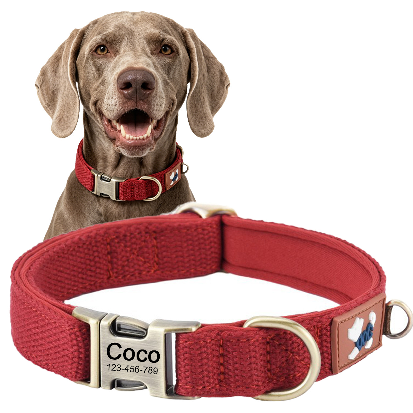 Vintage-Style Dog Collar, Wear-Resistant and Durable