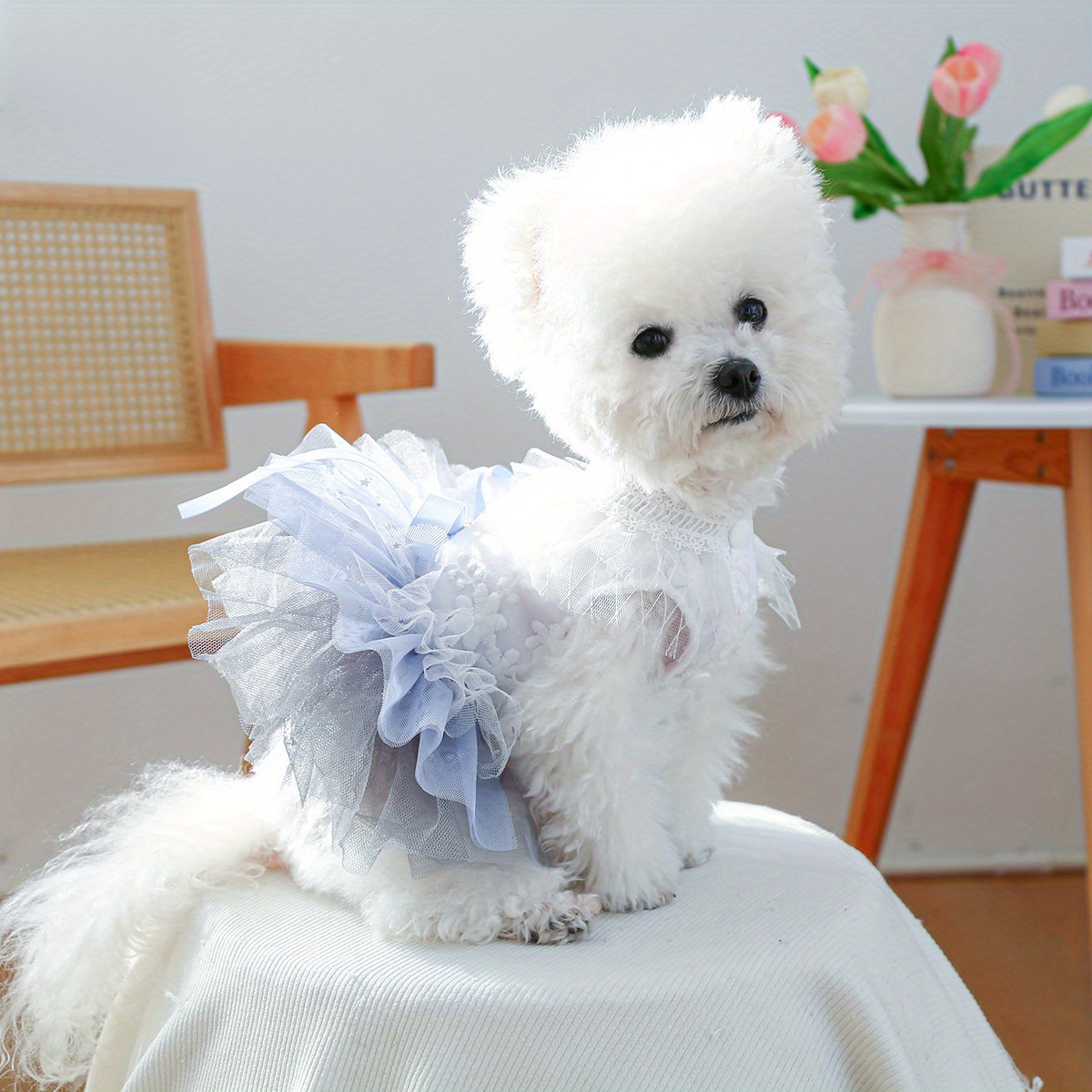 strapless open back dress Party Dresses For Dogs – Oh my Glad