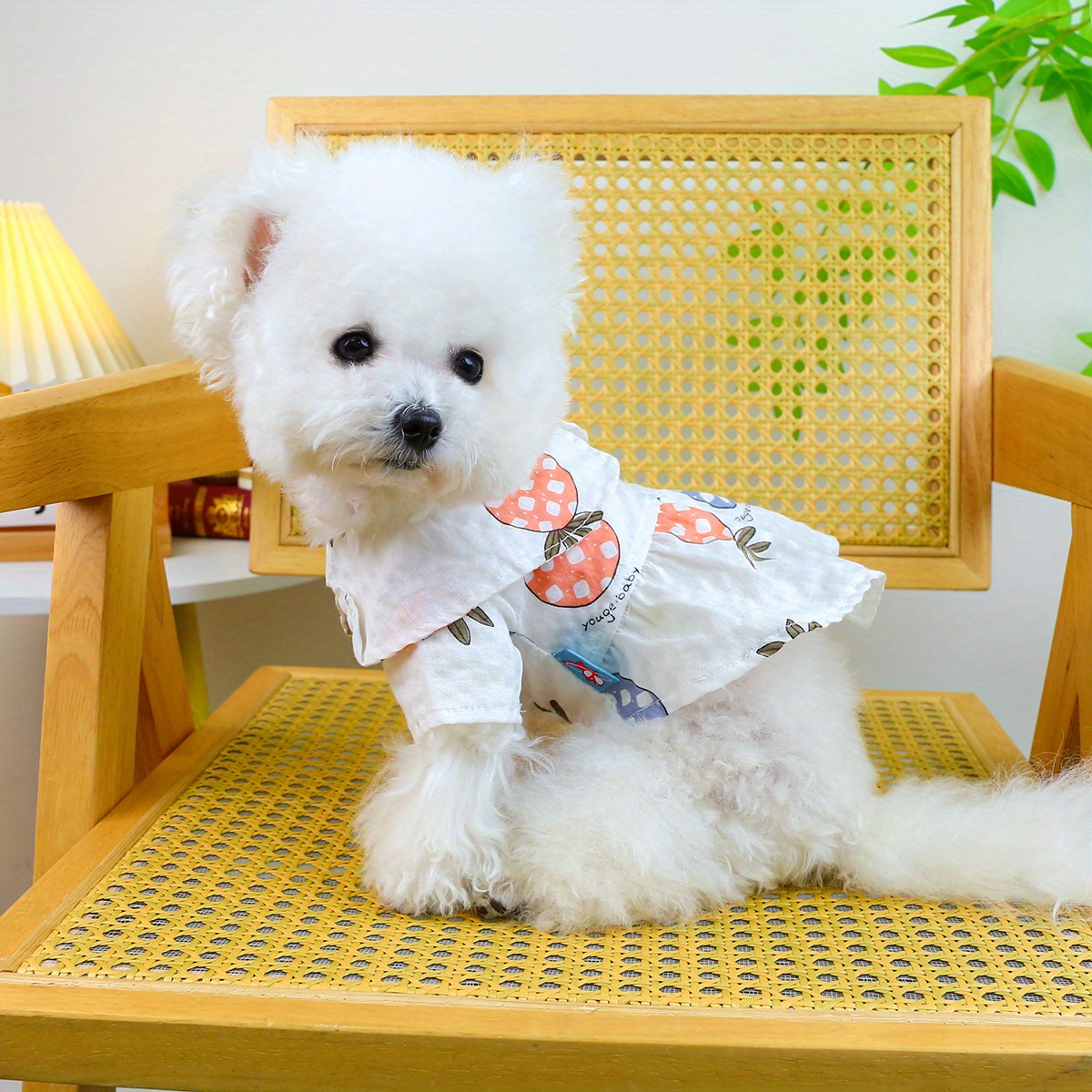 Teddy Puppy Clothes Spring and Summer Model Yorkie Poodle Small Dog White  Pineapple Skirt Anti-Shedding Cat Princess Dress Doll Collar Elegant Tempera