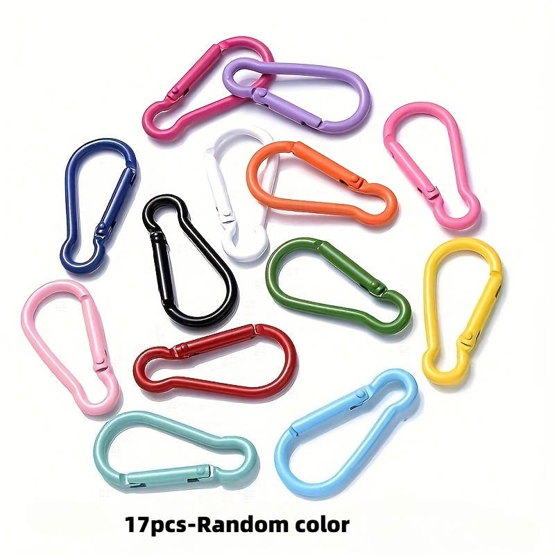 TEMU 17pcs Carabiner Clips, Small Spring Loaded Keychain Carabiners, Mini Carabiner Hooks For Keychains, Backpack, Camping, Hanging Organizer Random