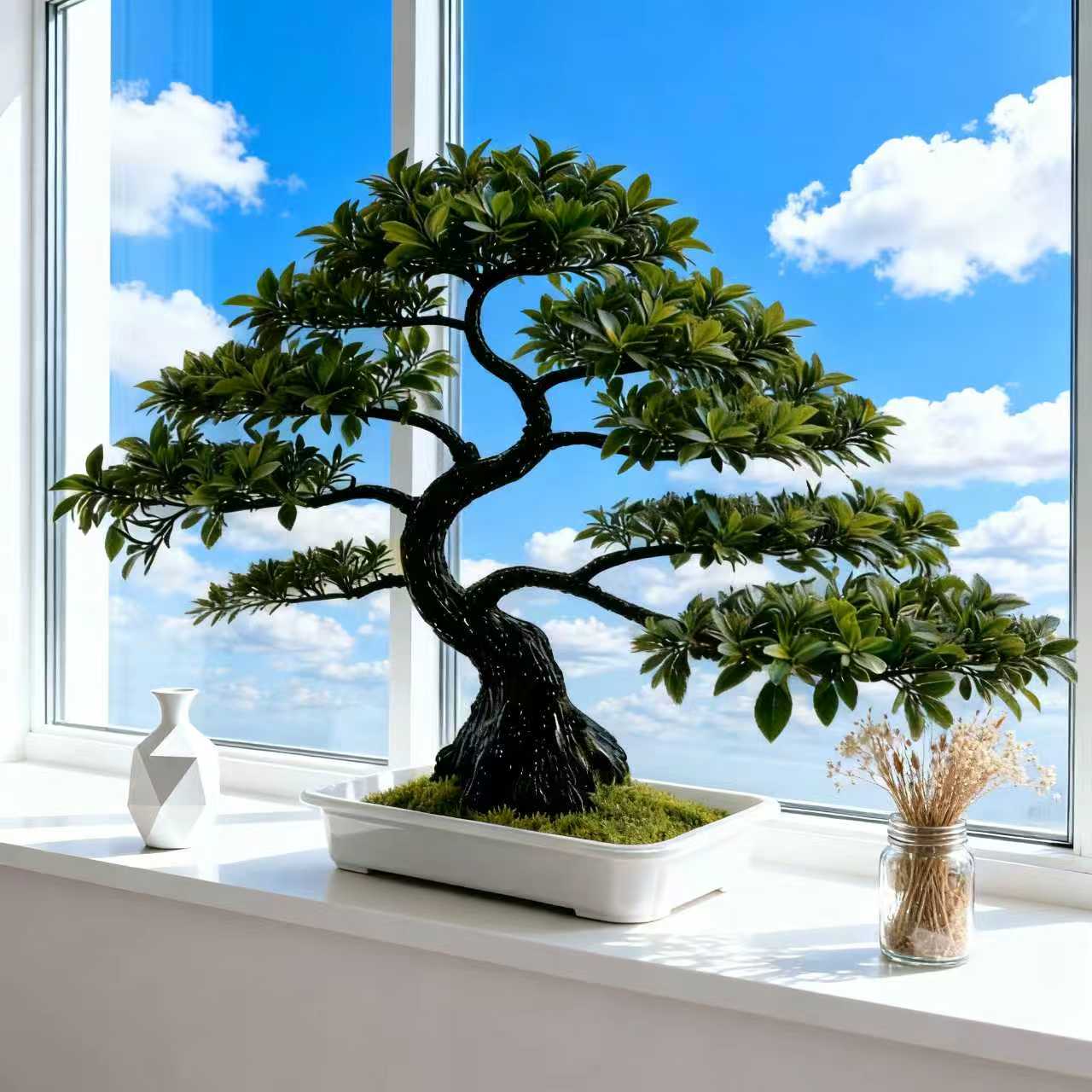 bonsai sold on Temu United States