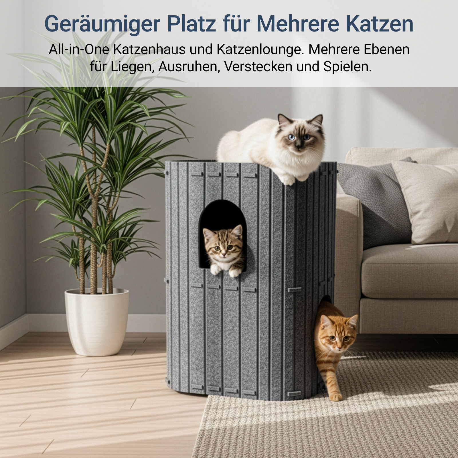Double Bed Felt Cat Cave House Suitable For Winter & Summer - Modern Sturdy Cat Bed With Assembly, Cozy Tunnel For Multi-cat Homes, Felt For Use, Fits For Small To Cats