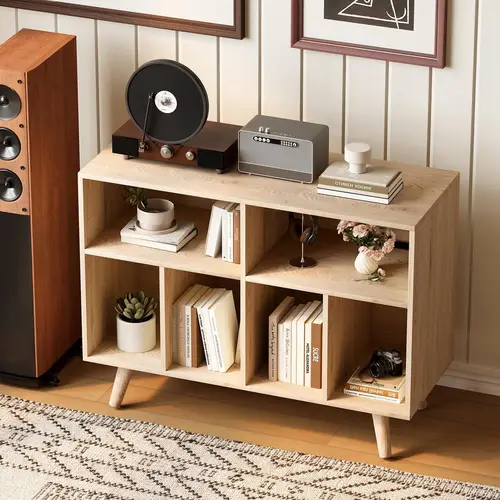 vinyl record storage sold on Temu United States