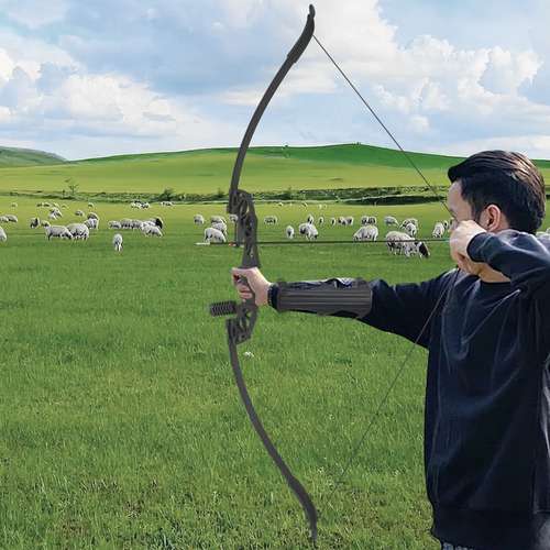 STEINBRÜCKE 54" Takedown Recurve Bow & Arrow Set – 40 Lbs, Wooden Hunting Longbow Kit