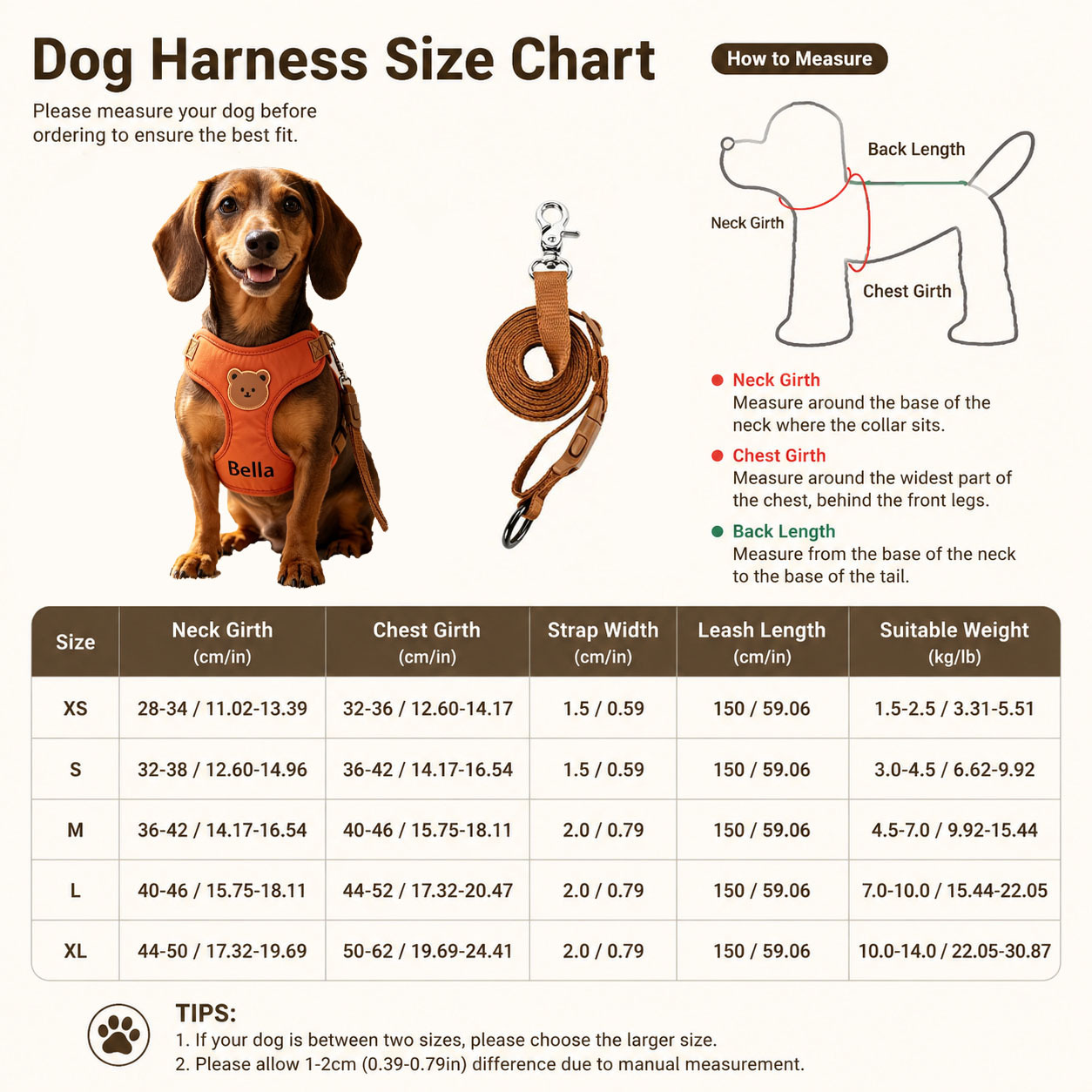 Name/Text Pet Harness and Leash System for Outdoor Walks