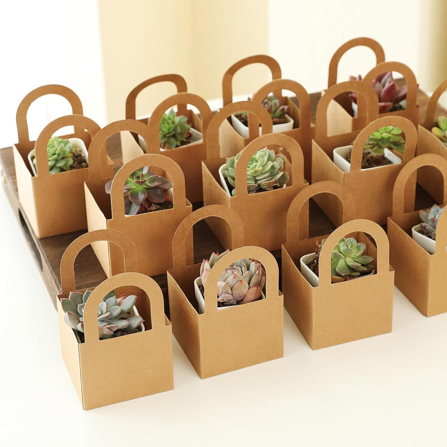 12 24pcs succulent wrap gift boxes fits 2 6 inch pots mini - Temu Mexico