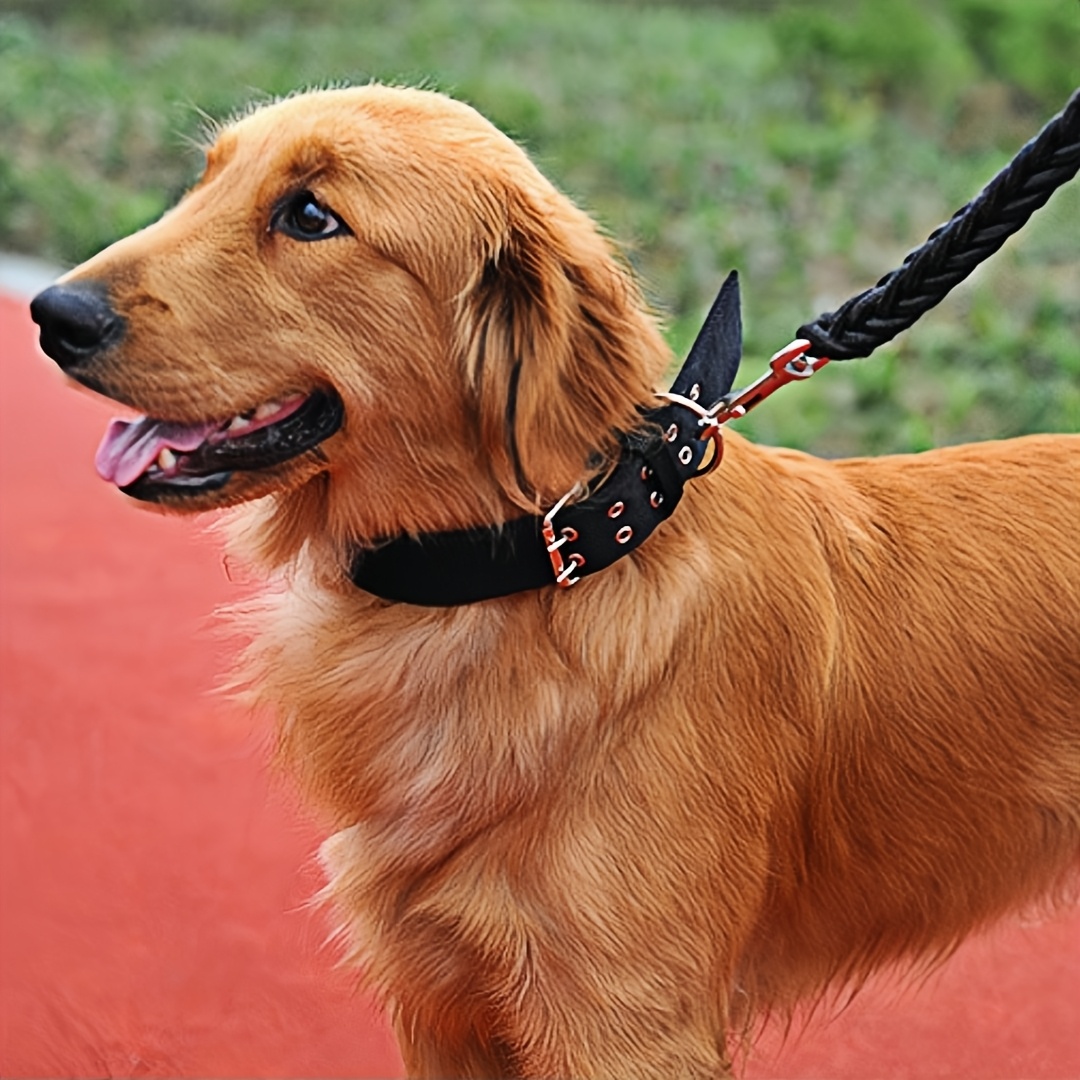 Double-Button Dog Collar for Medium Dogs with Adjustable Leash