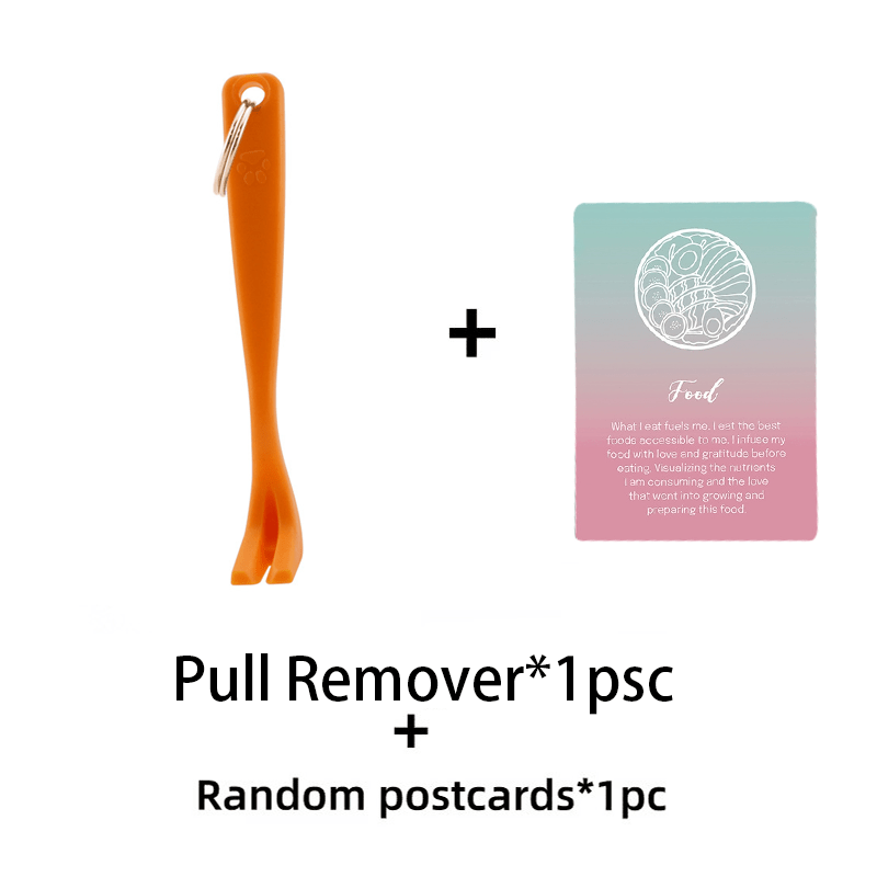 TEMU Déparasite pour Animaux de Compagnie + 1 de Style Aléatoire, Poignée Antidérapante Orange pour une Rotation Facile d'Enlever les Tiques Nuiser à