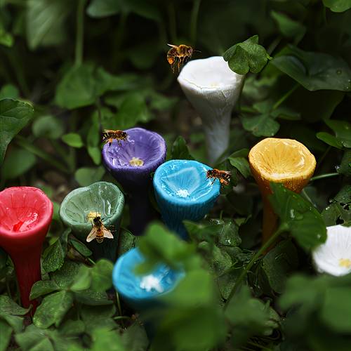 6er-set bunte, zufällige farben bienen-tränke – insekten-trinkbecher aus kunstharz, locken und nähren bienen, für gartenarbeit und