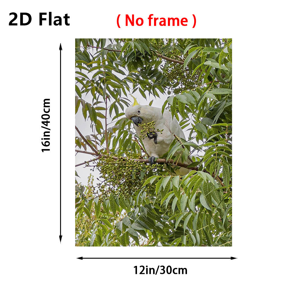 2d flat 2d flat 1pc frameless multi size canvas painting parrot on tree photography wall decor