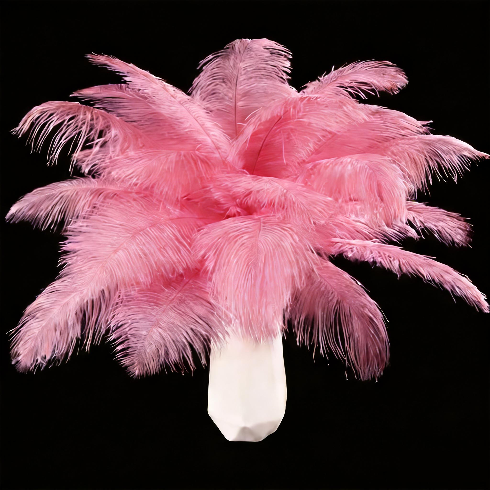 15pcs Ostrich Feathers Suitable For, Costume Making, Diy Crafts - Soft Dense Plumes With High-end Texture, Tabletop Ornaments, Stage Decoration, Party Decorations, For Artisan Crafts & Costume