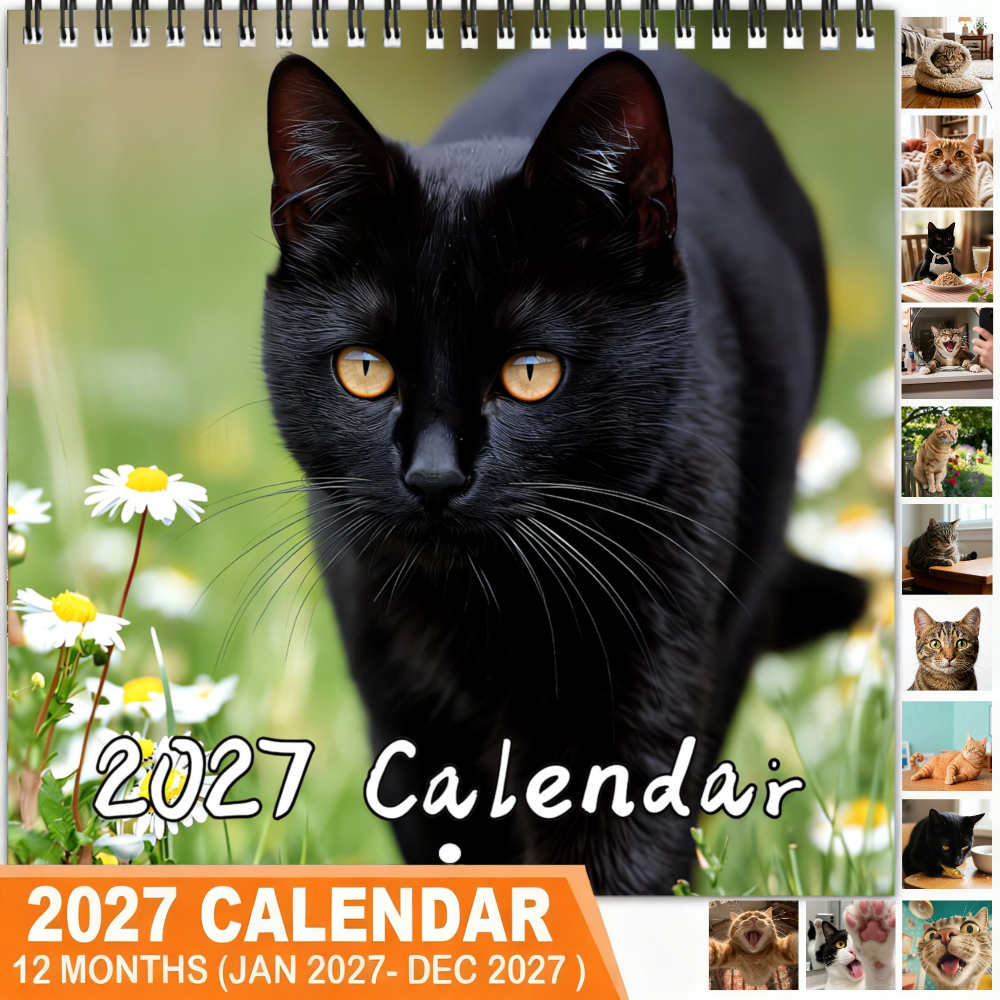 TEMU 1pc 2027 Hanging Planner Calendar, Thick Coated Paper And Spiral Binding - Double-sided Monthly Layout, Suitable For Home Or Office, Black Cat