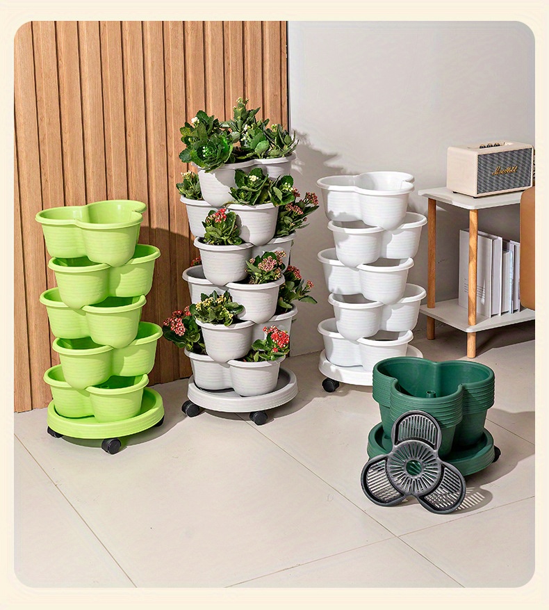 live potted plants Ctenanthe Lubbersiana, Live Indoor Plant main image 0
