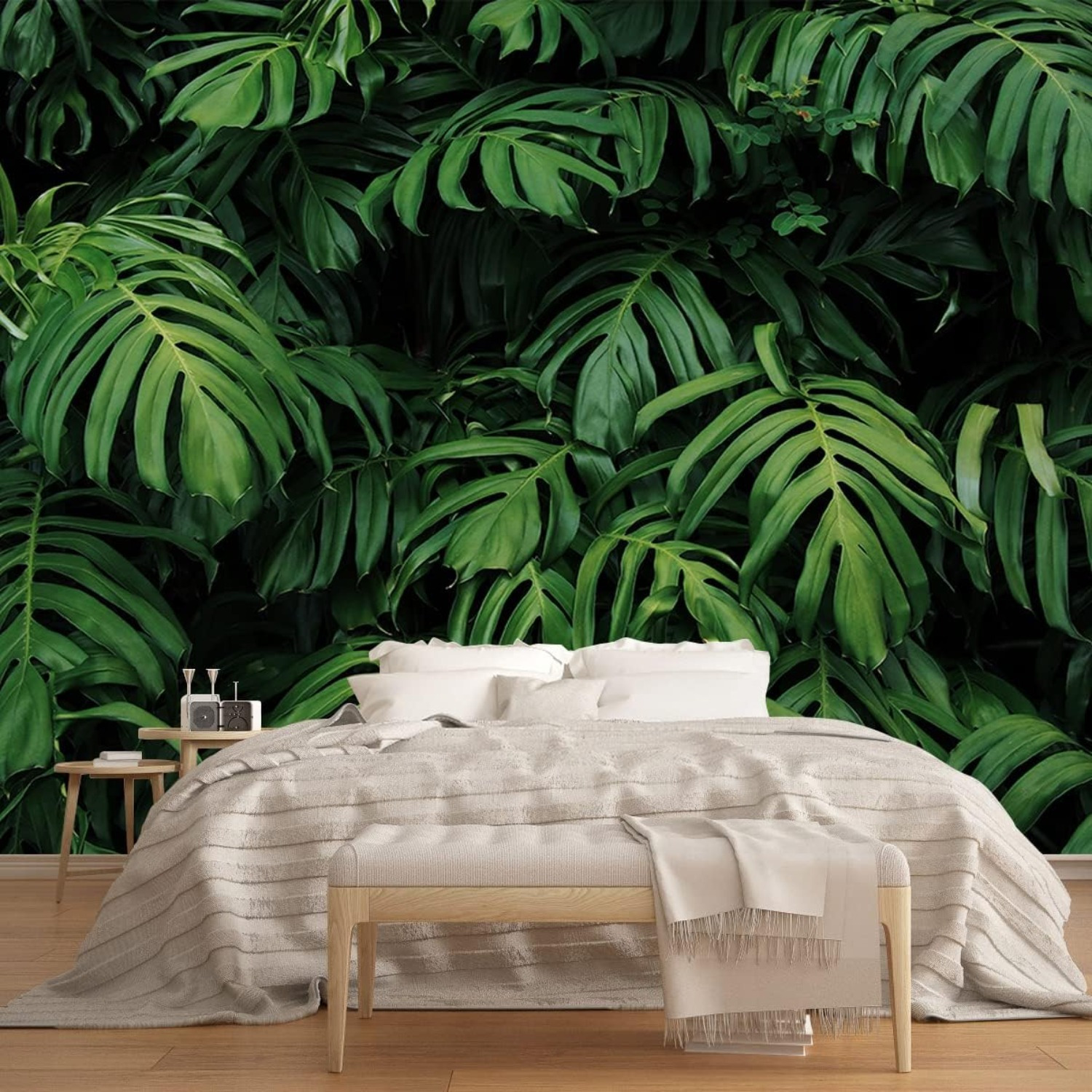 philodendron musifolium Philodendron Bipennifolium - Live Arrival Guarantee