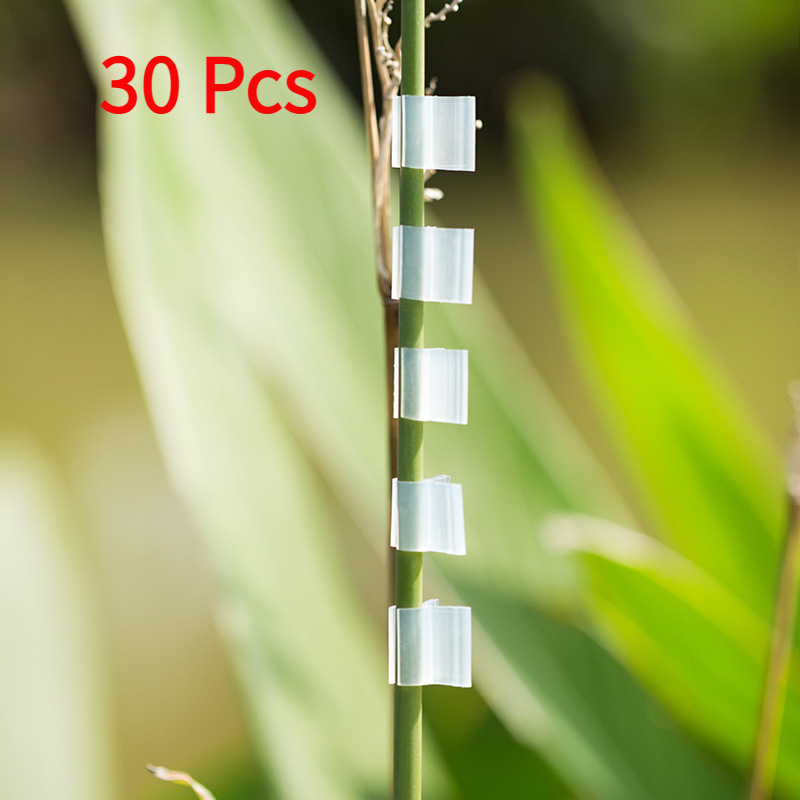 

30pcs Pinces de Greffage Agricole 3/4mm pour Légumes et Fruits, Pince de Support pour Tomates et , Accessoires de Jardinage