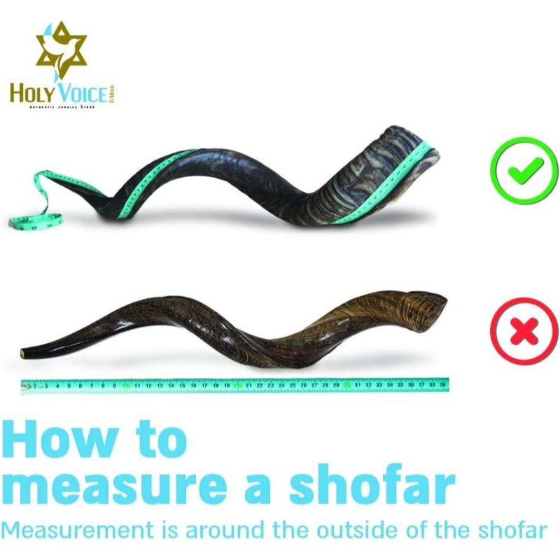 Kosher Kudu Shofar Horn from u2013 Traditional Half - Polished Yemenite Shofar Includes Carrying Bag, Brush and Blowing Guide - Easy Blowing Ancient Musical Instrument 2428, Spiritual Instrument, Religious Ceremony, Handcrafted Design, Artisan Made, Durable Construction, Rituals And Ceremonies