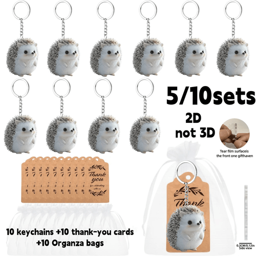 2d flat 2d flat 2d plane a 2d flat gift for her him set of keychains fluffy hedgehog cartoon keychain party favor set 2 acrylic keychains thank you card and organza bag cute party favors bag charms birthday gifts