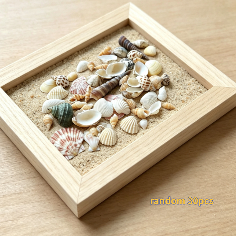TEMU Random 30pcs Assorted Seashells And Conch Shells, For Aquarium Decoration, Photography Props, Beach Crafts - Natural Coastal Decor, Texture