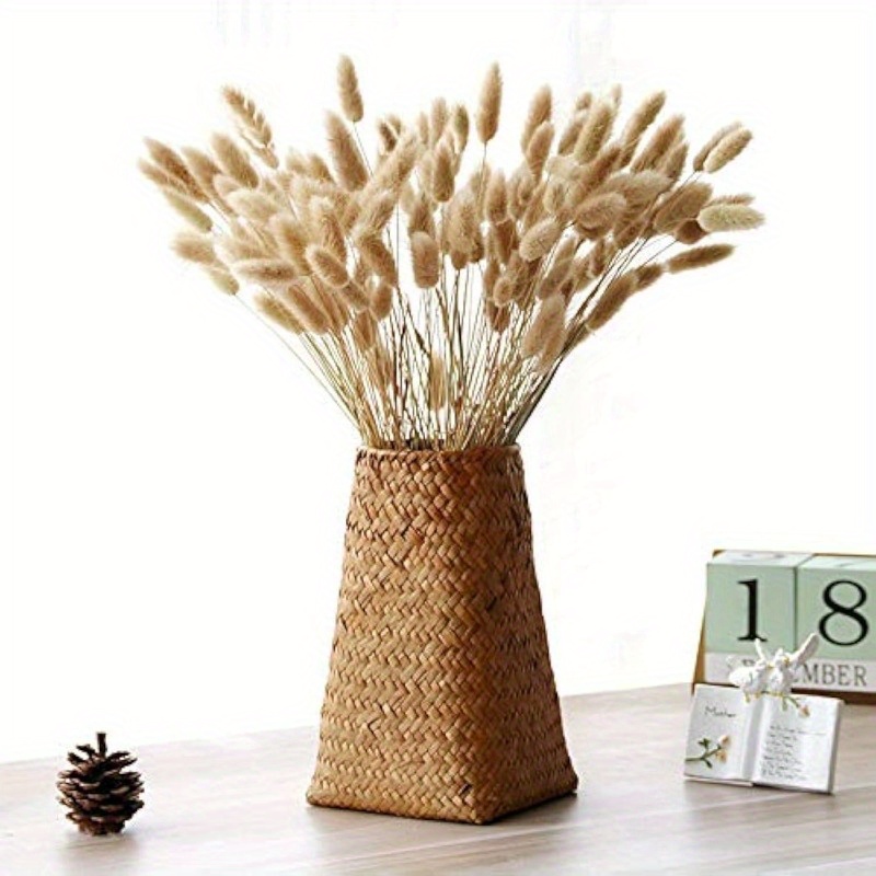 TEMU 198 pièces Bouquet de Herbe Queue de Lapin Séchée, Herbe Queue de Lapin Naturelle pour Décoration d'Intérieur, Ajoutant une Beauté Naturelle