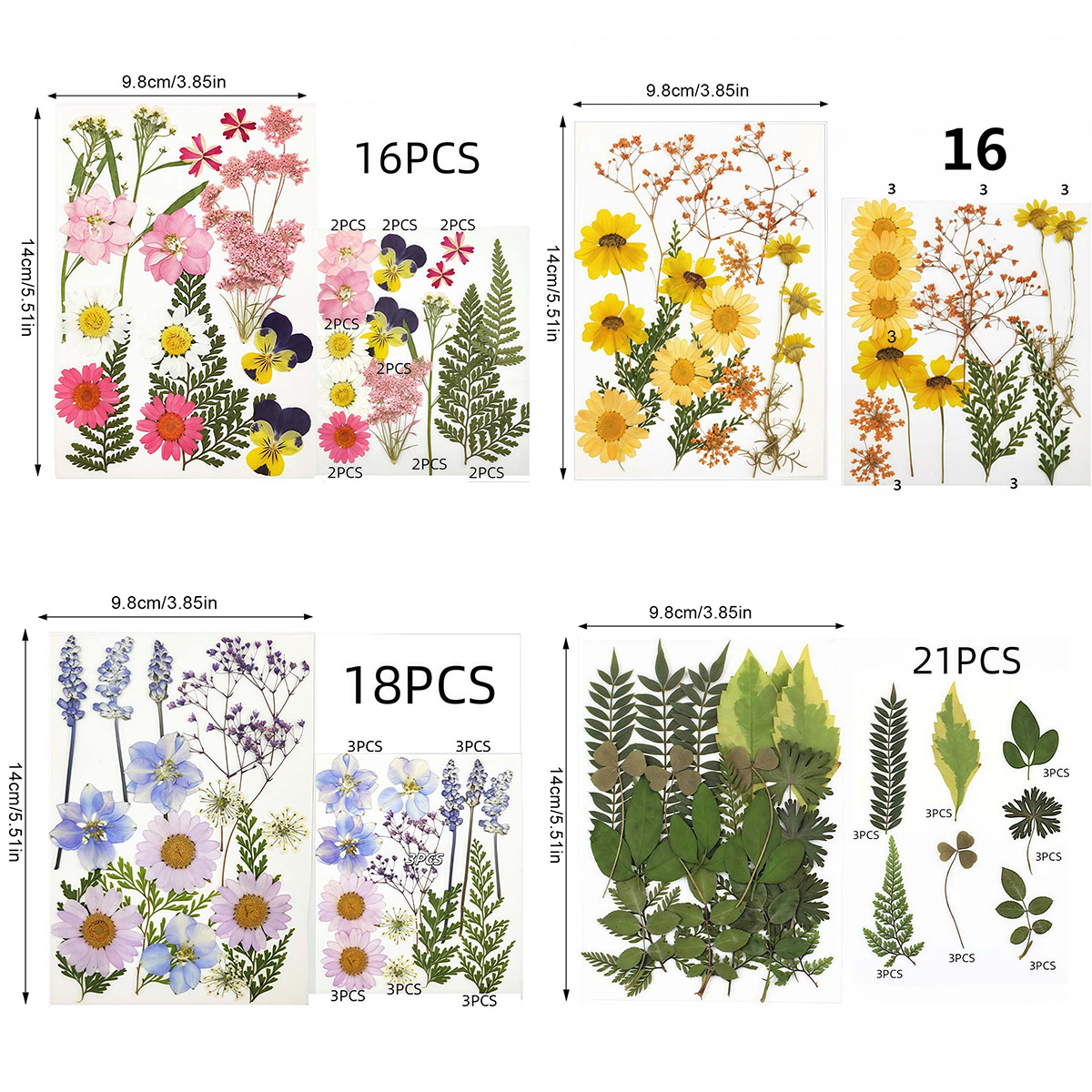E-shop 71-teiliges Set mit echten getrockneten gepressten Blumen & Blättern inklusive Pinzette. Natürliche gemischte Wildblumen für Harzkunst &