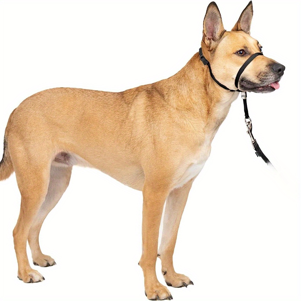 Adjustable Padded Dog Head Collar Halter Leash & Muzzle - Anti-Bark, Anti-Bite, Anti-Eating, Comfortable Soft Design for Training, Grooming, Vet Visits - Solid Color Durable Pet Safety Gear, Bite Prevention, Secure Fit, Reinforced Stitching, Veterinary Use