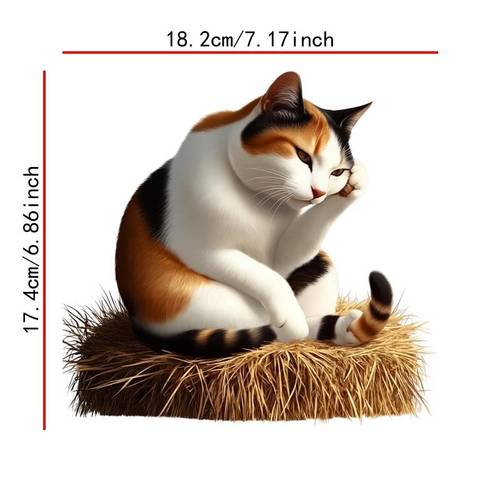 adesivo termocolante 2d , gato laranja - design 2d , termocolante e lavável, adequado para camisetas, jeans, suéteres, bolsas, almofadas, almofadas de decoração, almofadões, 2d