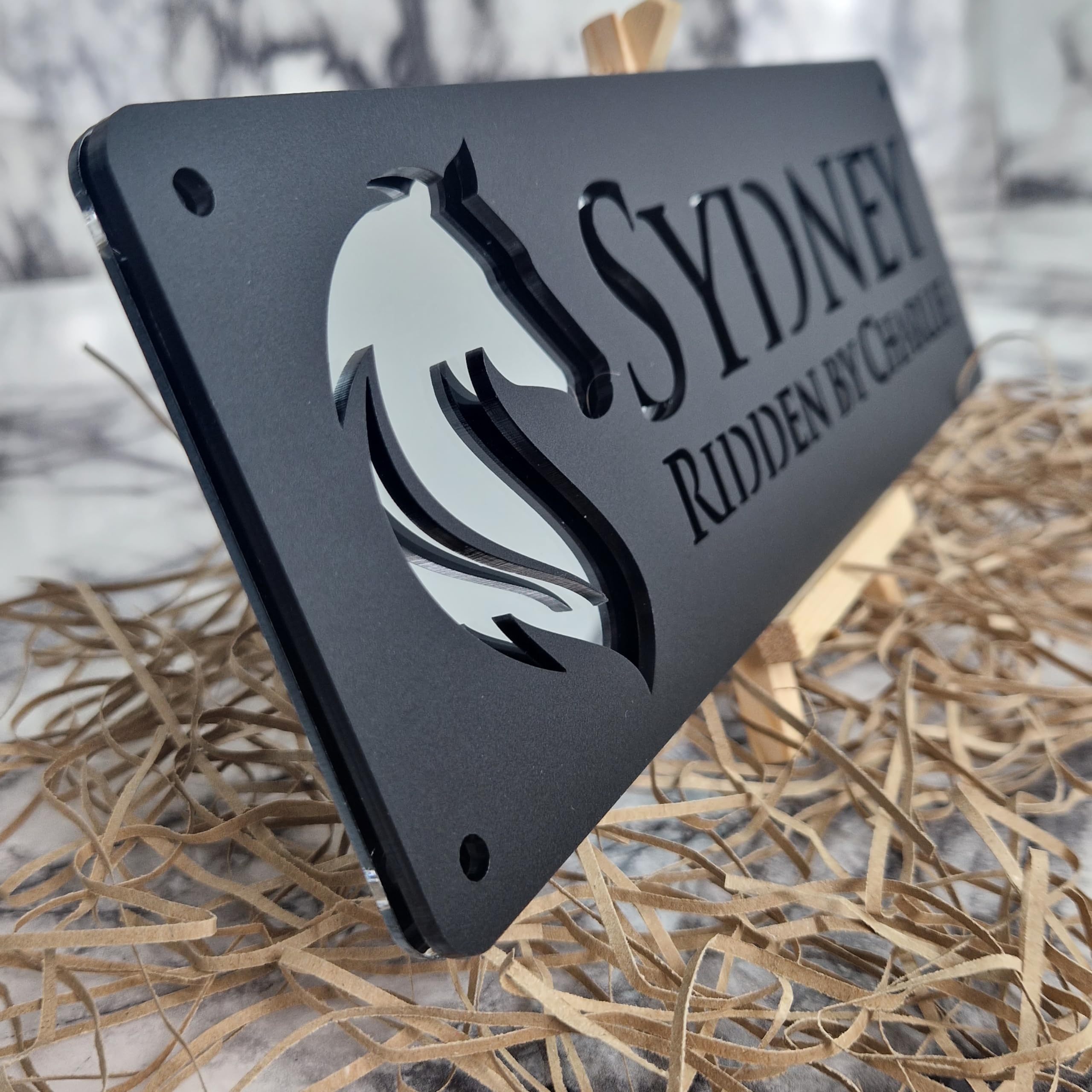 TEMU [2d Flat] Customized Stable Name Signs With Personality, Acrylic Horse Nameplates For Outdoor Use, A Perfect Gift For Horse Enthusiasts