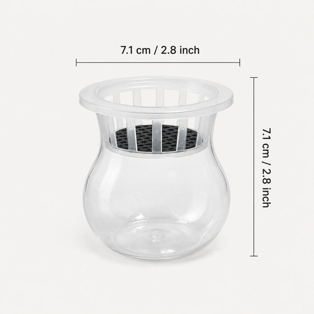 TEMU Lot de 2 vases hydroponiques transparents avec tasse, panier et filtre, panier de plantation fixe pour observation des , ornement de table