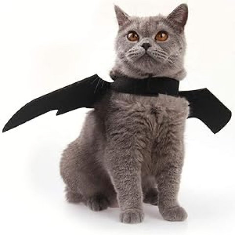 Halloween Bat Wing Costume for Cats & Small Dogs - Adjustable & Comfortable Spooky Bat Wings Outfit with Closure, Lightweight with Padding, All-Season Wear for Kittens & Puppies, Easy to Put On & Take Off, Perfect for Halloween Parties & Costume Events (Black) - Ideal Gift for Boys & Girls, Fits Small to Large Pets, Adorable Bat Wing Design for Year-Round Use, Secure Fit with Chest & Neck Straps, Halloween Costumes, Dog Costume Halloween, Halloween Costumes for Cats,