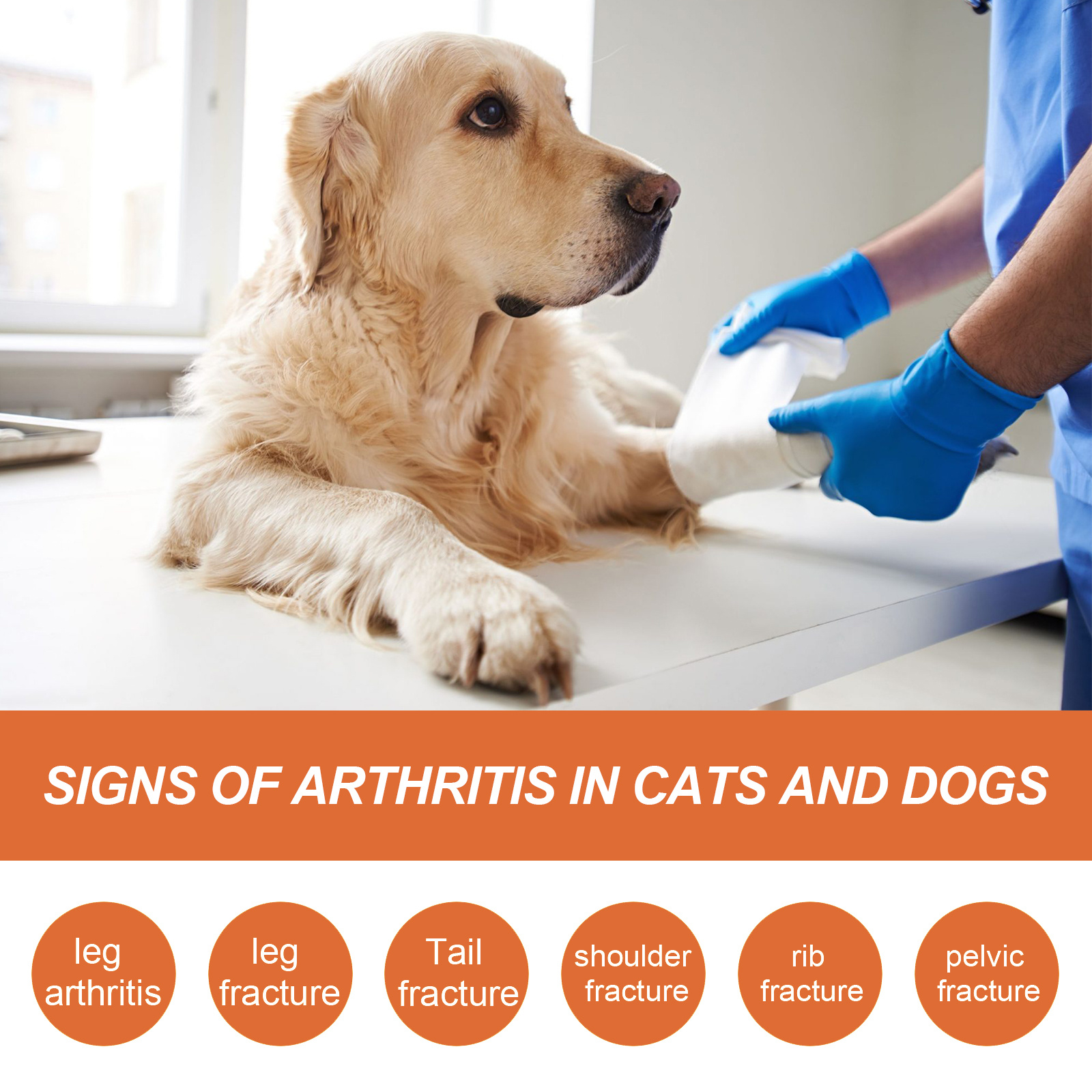 20G Pet-Specific Joint Care Spray, Gentle Topical Spray, Easy And Convenient to Use, Helps Flexible Joints, Enhances Mobility, Suitable for Cats And Dogs And Other Pets, Home Long-Term Care, Caring for Pet Bone And Joint Health, Without Battery