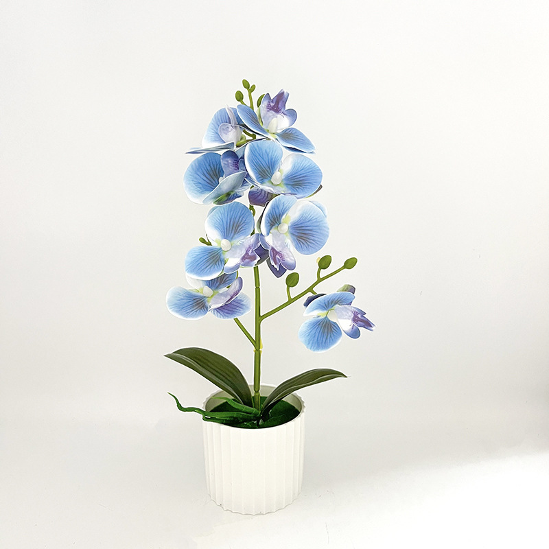 knstliche orchideen topfpflanzen mehrfarbige phalaenopsis - Temu Austria