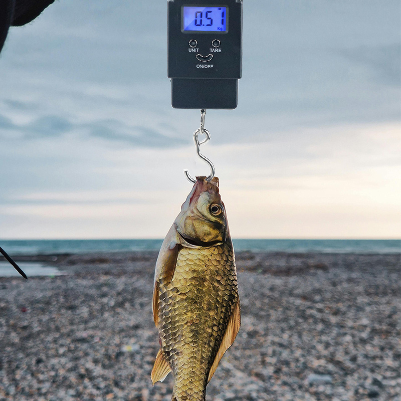 TEMU Portable Digital Scales: Accurately Weigh Fish, Fishing Scales, Kitchen Digital Scales Are Suitable For