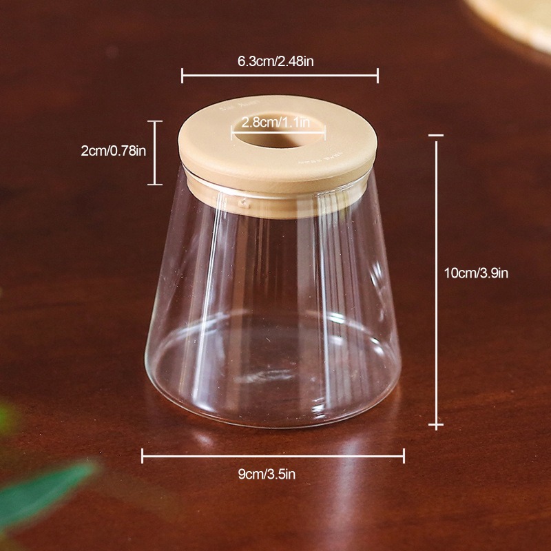 TEMU 6pcs Transparent Hydroponic Plant Vases Suitable For Decor - Lightweight Plastic Breeding Pots, Round Flower Pots For Indoor Plants,, Herbs,