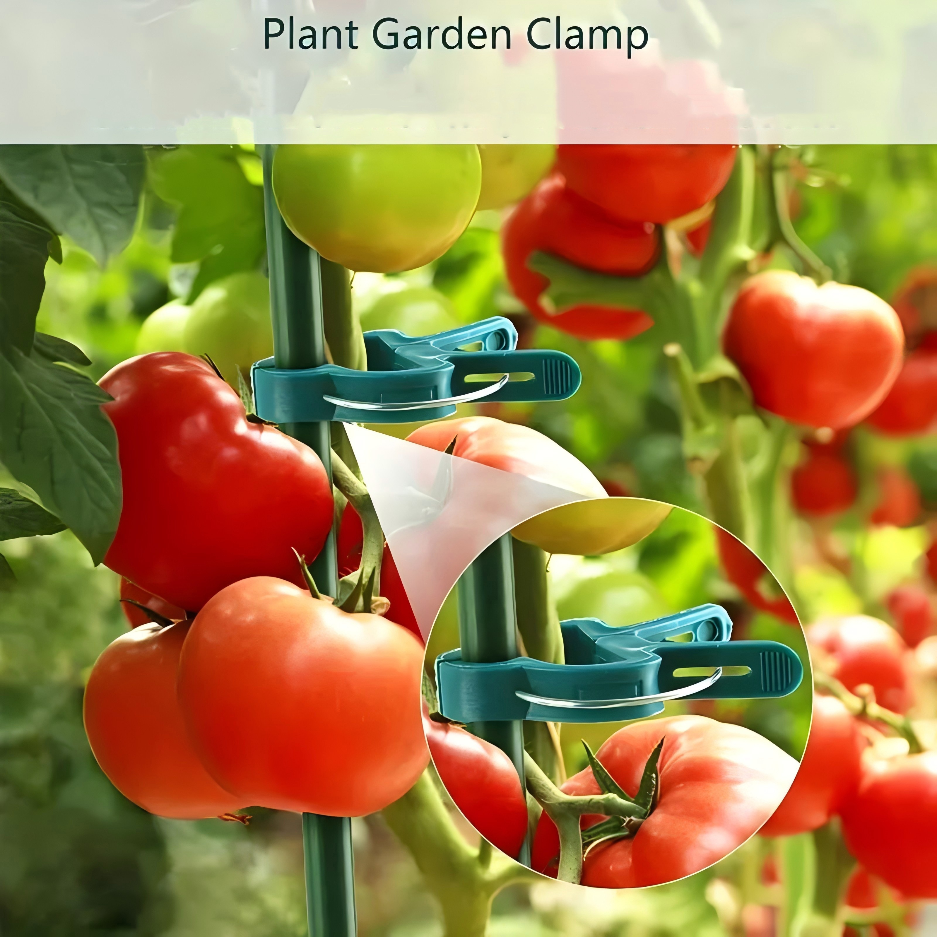 50pcs adjustable plant support clips support tools for tomatoes vines flowers reusable durable plastic clips for effortless installation ensuring beautifully organized gardens Product details 9