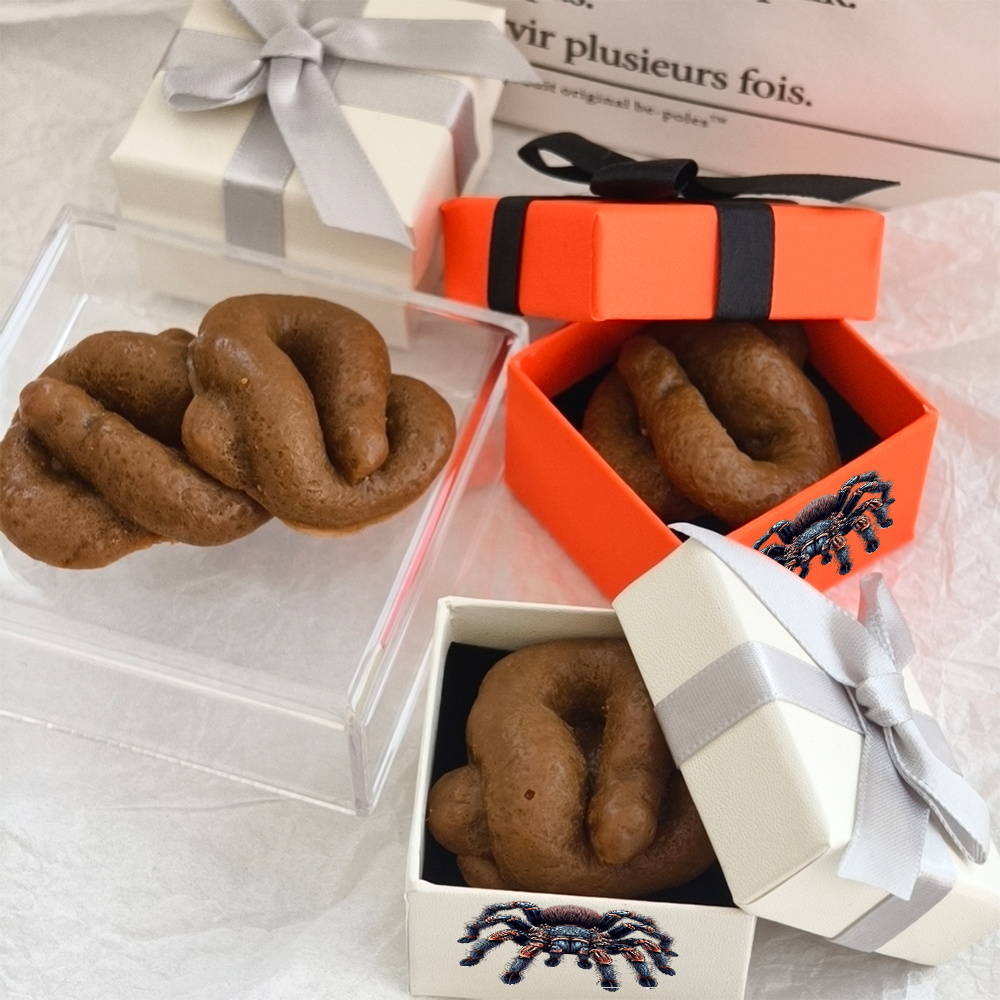 item picture a single realistic   poop prank gift box featuring a spider design this   gag gift is perfect for adults and serves as a humorous surprise for parties its a novelty joke toy ideal for april fools day and valentines day