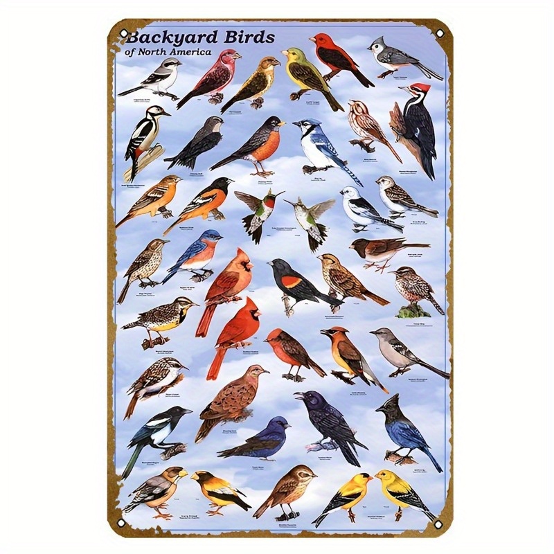 TEMU Retro Educational Of Backyard Birds - Metal Iron Sign, 8x12 Inches, Ideal Present For , Suitable For Home, Kitchen, Bar, And Caf&eacute; Decoration