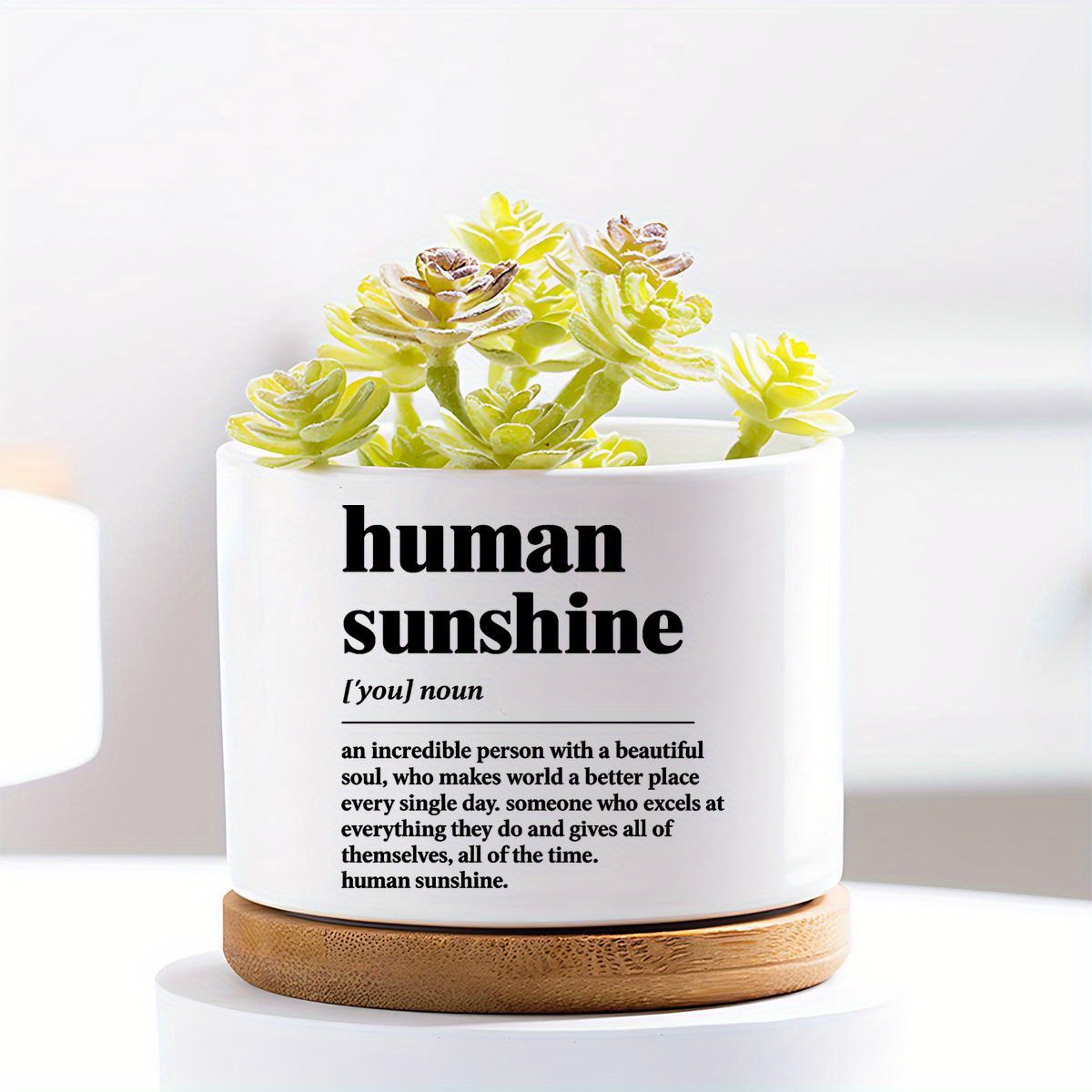 TEMU Gifts For Plant Enthusiasts, Including Decorative Ceramic Pots And Small Succulent Containers, Indoor Gardening. Are Excellent For Appreciation