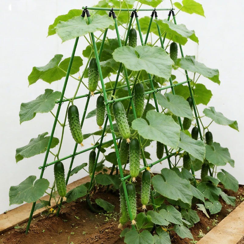 5pcs Climbing Trellis, Bean Rack, Cucumber Bean Support Pole, Vegetable And Melon Shed, Greenhouse Frame, Vegetable And Flower Plant Rack