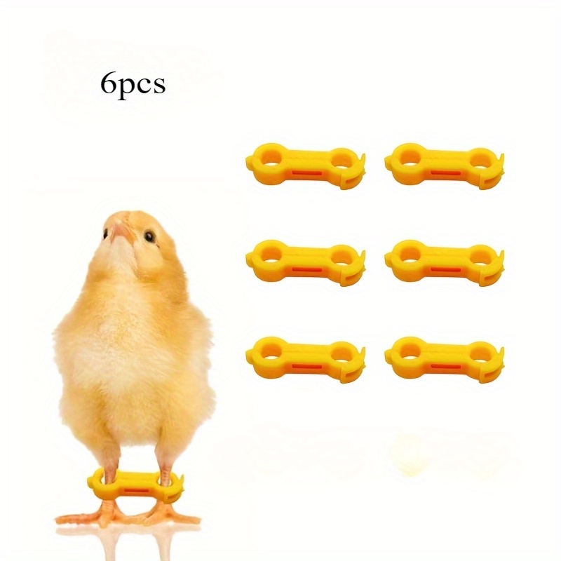 Image of 6 Chicken Leg Holders For Young Chicken Leg Rehabilitation, Suitable For Chick Parrots, Poultry Farms, Farms, And Poultry Breeding Farms