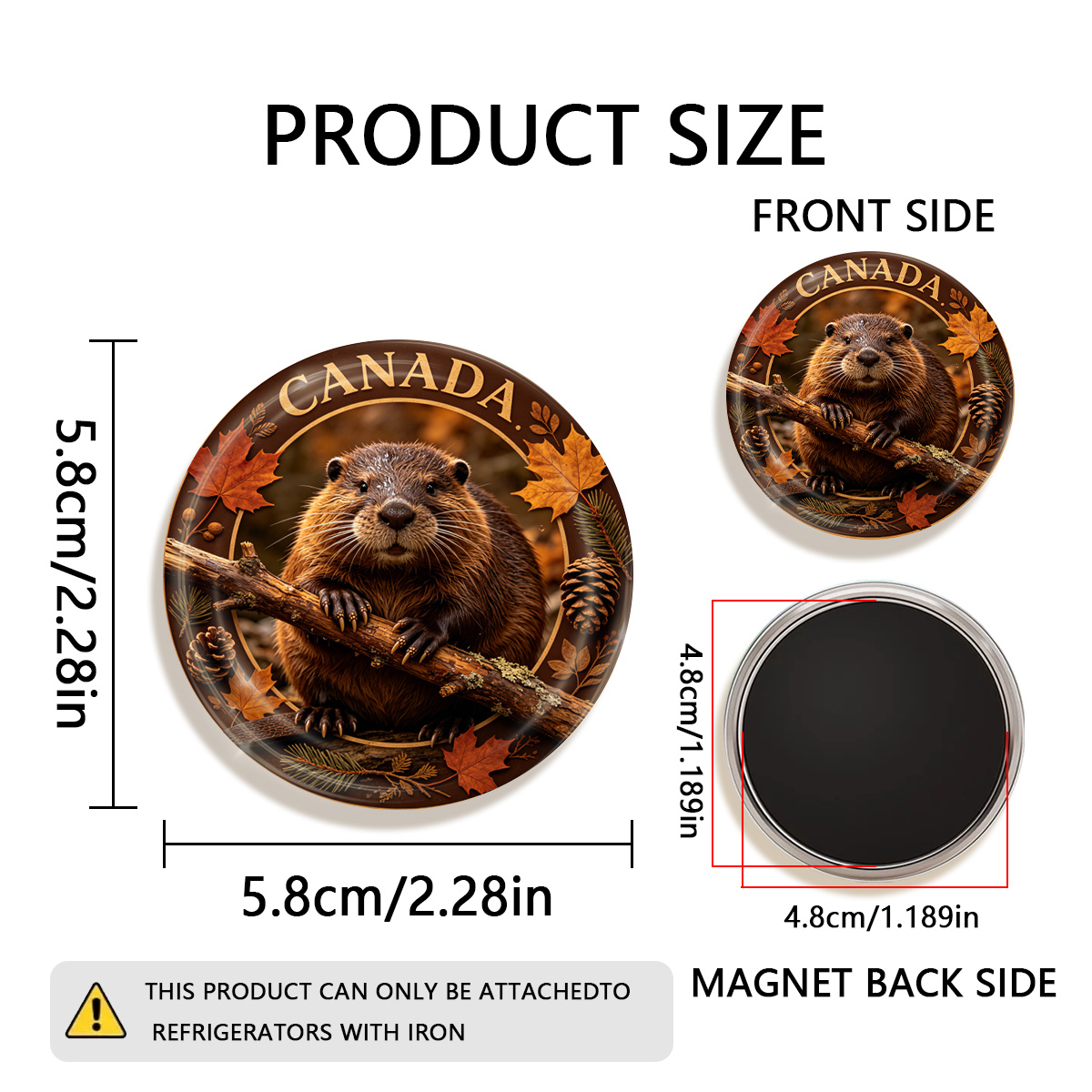 TEMU 1 aimant de réfrigérateur rond et durable sur le thème de avec un castor plat 2D, adapté pour s' aux réfrigérateurs, aux tableaux , aux manuels,