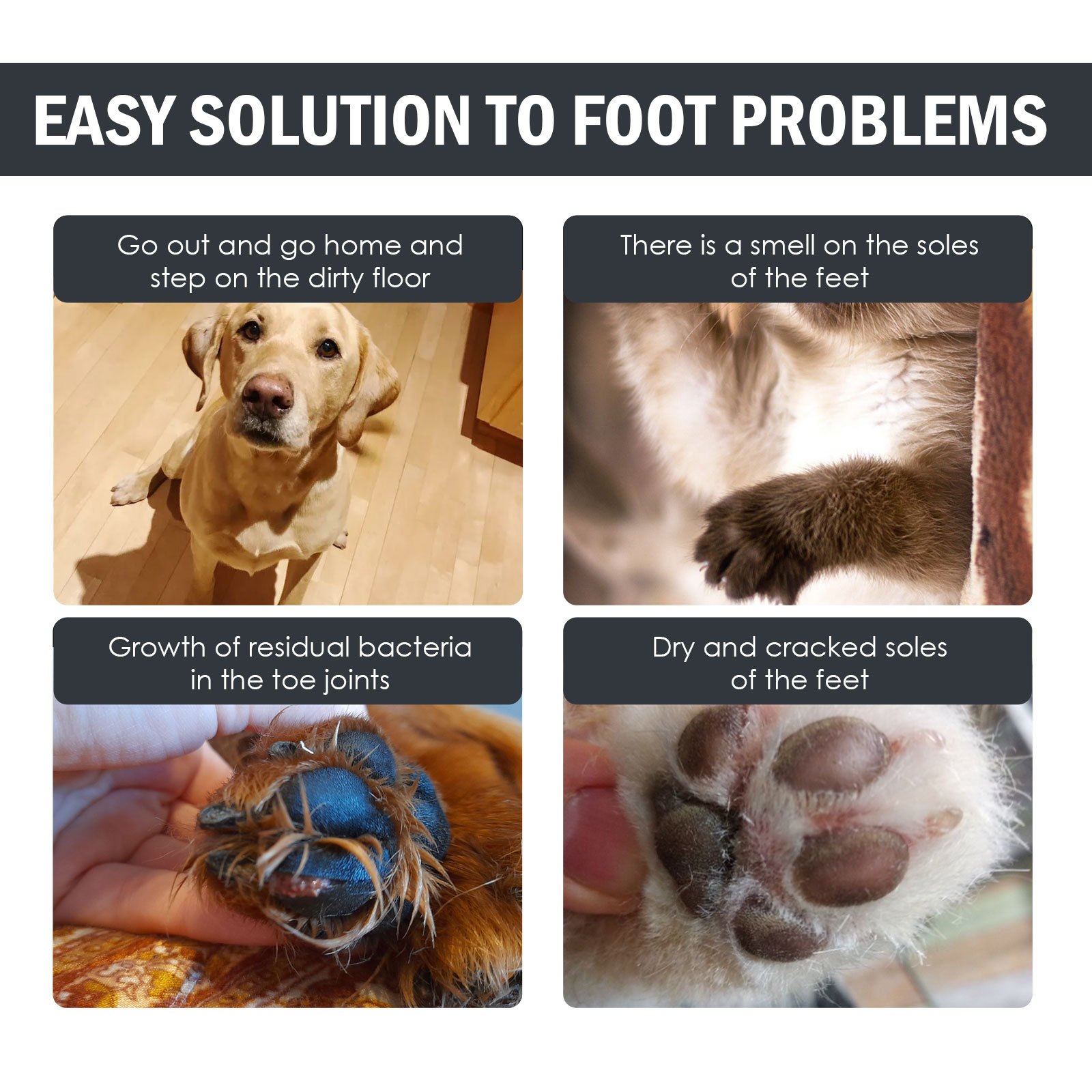 Dog Paw Cleaner for Dogs Cats No Rise Foaming Cleanser-Clean Paws Fragrance, Dog Paw Washer to Have a Deep Clean Safe for All Pets