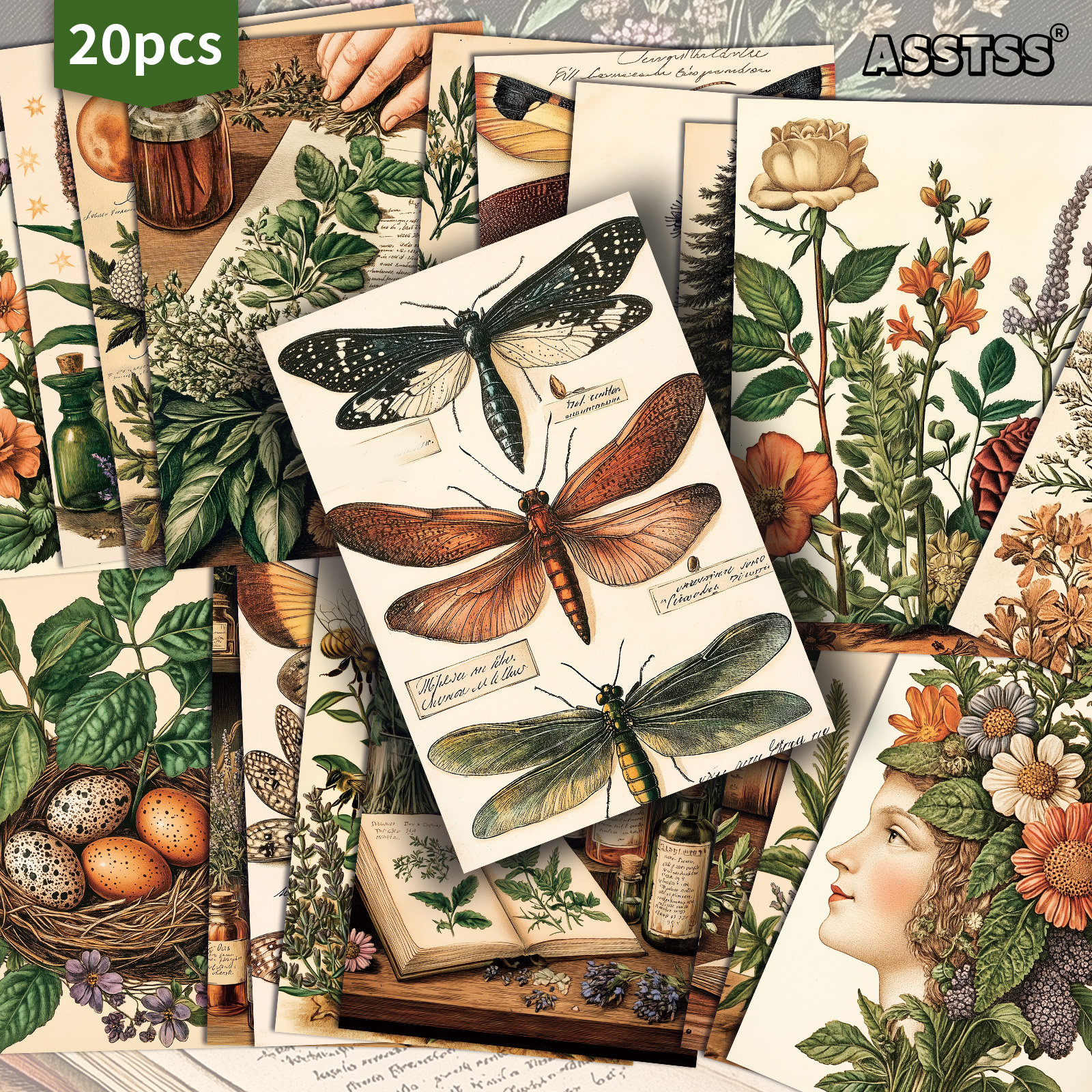 TEMU 20-pack Asstss Insects, Plants, Herbs, Medicine Gift Cards - 4x6 Inches Retro Junk Journal Paper, Classic Pinup Illustrations, Collectible