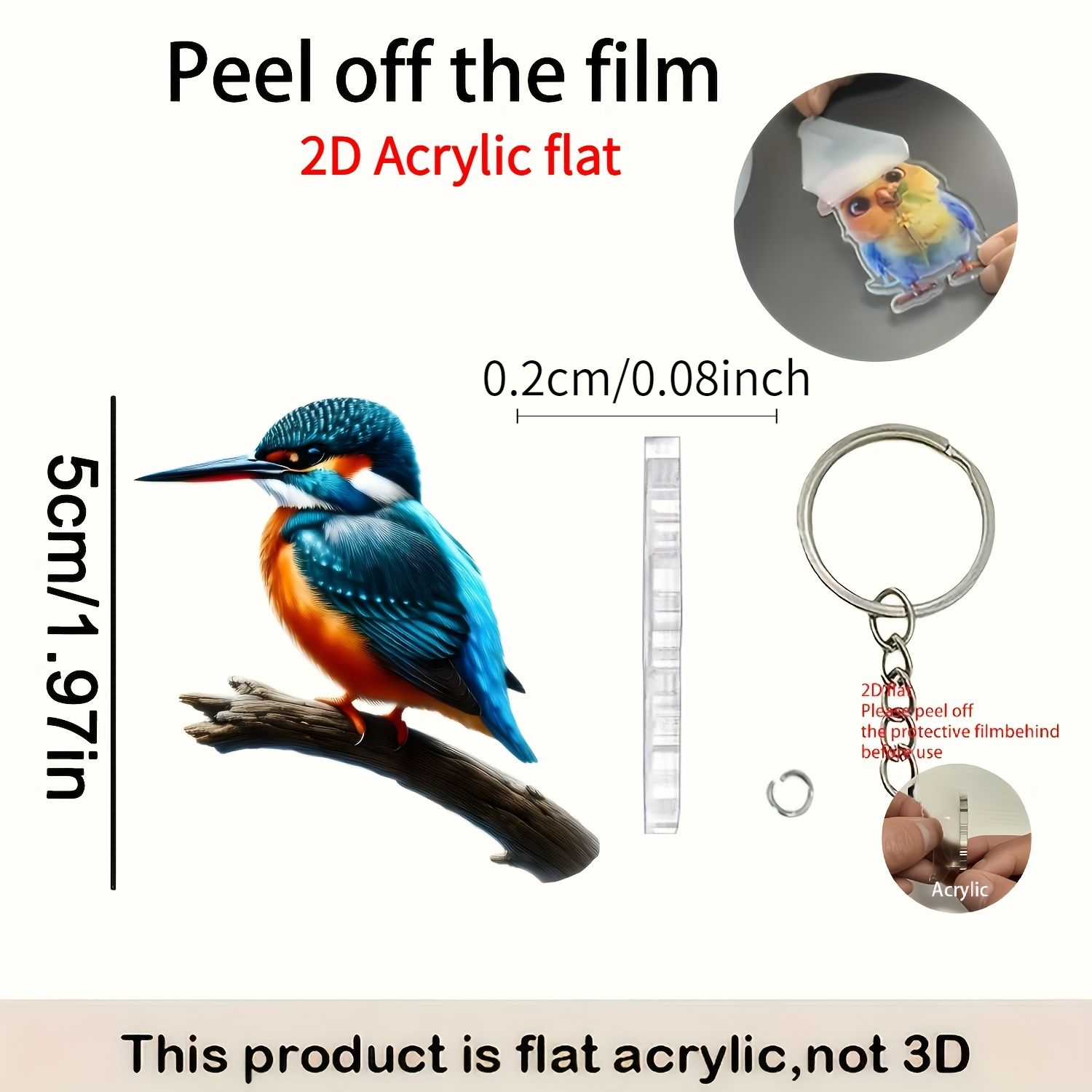 TEMU 2d Flat, 2d Flat 2pcs Kingfisher Keychain, 2d Acrylic Keychain Accessory, Decorative Pendant, Outdoor Decoration, Home Decor, Scene Decoration,
